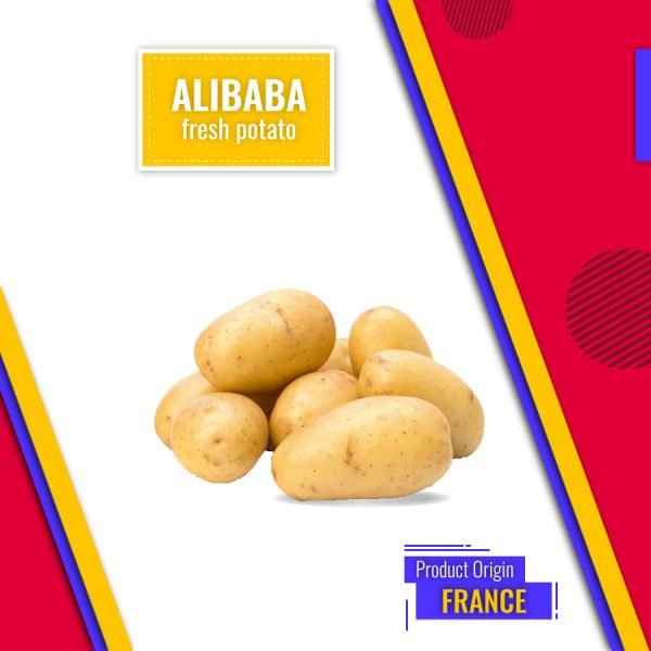 Potato fresh Price: as per regular market price 5 kg potato in net bags.
