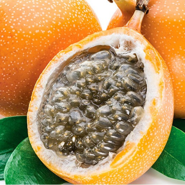 Granadilla peru