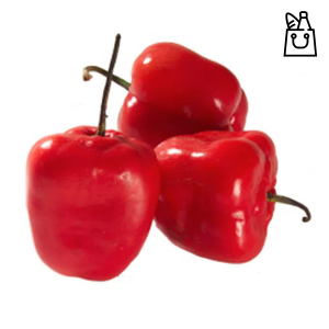 Rocoto Peru Pe