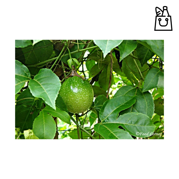 Passion Kola